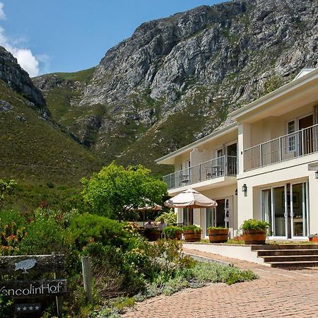 Francolinhof Guest House Hermanus Exterior foto